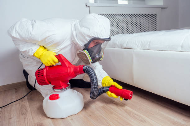 Emergency Pest Control Services in Big River, CA